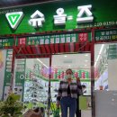 슈올즈 남대문시장점 이미지