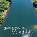 합천식당 네이버블로그