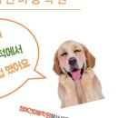 내개를부탁해