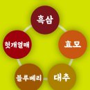 [제품후기] 연말 필수템 진생바이팜 🤪 > 😃👍🏻 흑삼 & 헛개열매💚 숙취해소제 추천