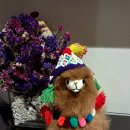 인도로가는길 | 일생에 한번은 남미 1 - 프롤로그