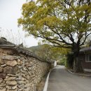 강골마을 아치실댁 이미지