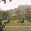 투어파크 - 해운대구 해운대로 1224 | 투어파크