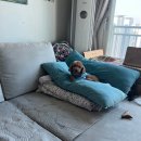 [2023] 6월 넷째 주 일상 (6.19~6.25)