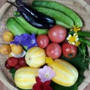 학재목장 이미지