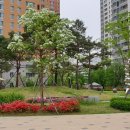 남양주다산유치원(공립) 이미지