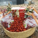 마을농장 이미지