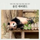 랜선인문학여행 3차 | 용인 에버랜드 티켓 등록 스마트줄서기 판다월드 부터 불꽃놀이까지