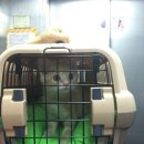 라비동물병원 이미지