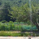 청호병설유치원 이미지