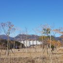 백진주유소 네이버블로그