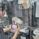 삼양동물병원 이미지