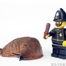 법무사한충호사무소 | 대구개인회생 법무사한충호사무소 인생을 바꾼 경험