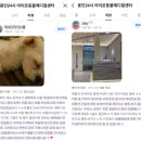 자연동물병원 네이버블로그