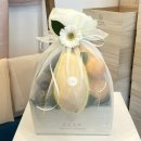 온기청과 이미지