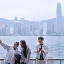 동일상회 이미지