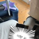 하청스포츠타운 다목적경기장 | 먹고 쇼핑하고 벚꽃 구경 한 사가현 여행 둘째 날과 셋째 날 (사가 여행 캐시백 이벤트)