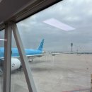 907 | 대한항공 KAL907 인천 - 런던 직항 후기 (feat. 비상구 좌석, 기내식)