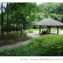 여주-0608 네이버블로그