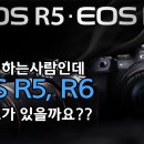 EOS R5 / R6 이미지