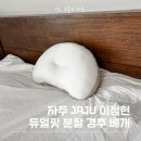 자주 JAJU 이정현 경추베개 후기, 목과 어깨가 편안한 듀얼핏 분할 경추 베개로 숙면 완성!