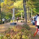 황금마차마을 이미지