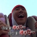 경기도 양평군 사랑나무어린이집 | 경기도 양평 실내 곤충,동물체험학습농장 후기!!