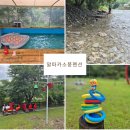 알파카 소풍 펜션 이미지