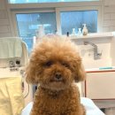 홍글몽글 이미지