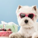 동안유치원 이미지