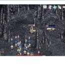 왕과비 Daum카페