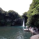 조천초등학교 이미지