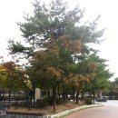 구로리공원 이미지