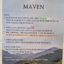 [카페메이븐 행궁동본점, 행궁동 카페] 넓은 통창과 감성 가득한 브런치 데이트 후기