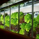 스마트농장 이미지