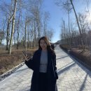 강원도 원주 여행 오크밸리 뮤지엄 산 안도타다오 전시 청춘 관람 후기