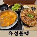 대전 도룡동 맛집 유성불백 내돈내산 후기 김치찌개, 석쇠불고기 불백 추천