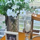 반포대로20길 28 이미지