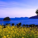 거제유배문학 「화풍(花風)」 봄바람아, 꽃잎을 동구 밖으로 보내진 말라 이미지