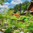 동그라미 펜션 이미지