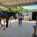 주식회사 월드승마학교 이미지