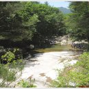 (버스)송탄공단입구 이미지