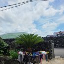 하도별방 이미지