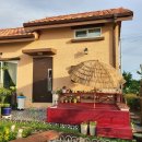 올래펜션민박 | 제주구좌펜션/숙소 제주올래 가성비 최고