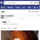 낄낄고양이 이미지