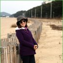 바다와소나무 이미지