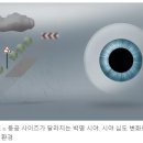 글라스스타 위례점 이미지