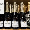 41190-01-07-159 | 연말이니까 샴팡 한 잔, 가성비 좋은 코스트코 와인 추천