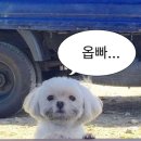 미광사 이미지