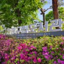 수색한숲도서관 | 연신내 뷰맛집 5월의 꽃 등나무 쉼터가 있는 도서관, 은평구립도서관